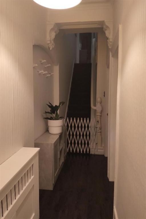 Aunty Katie'S House, Ni Tourist Board Certified With Free Continental Breakfast Apartment Belfast Exterior photo